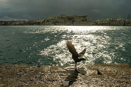 Il Forte di Sant'Angelo, nel porto di La Valletta