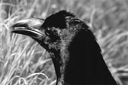 ''Uccellacci e uccellini'' di Pier Paolo Pasolini