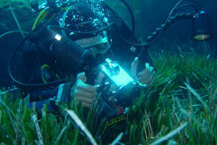 Riccardo Cingillo in azione